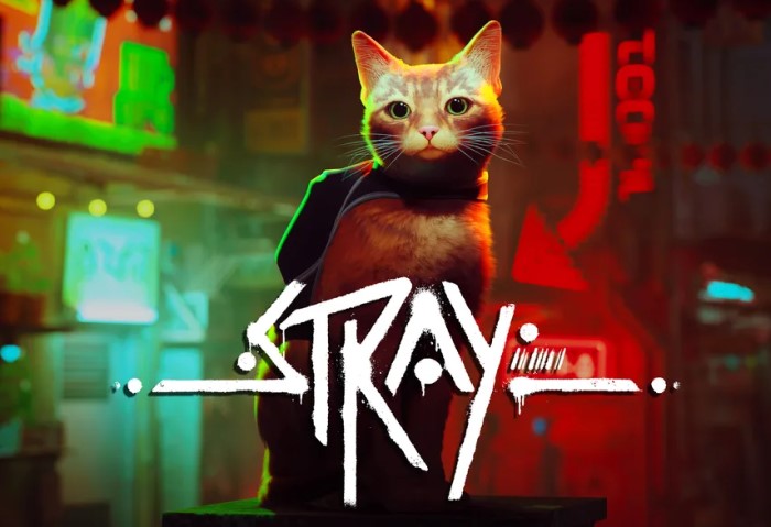 Stray