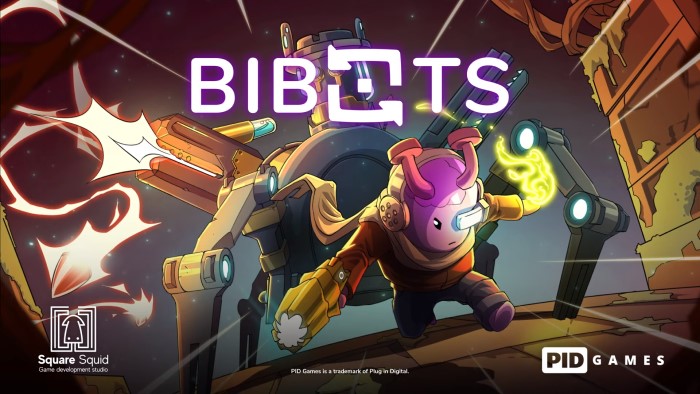 Bibots 1